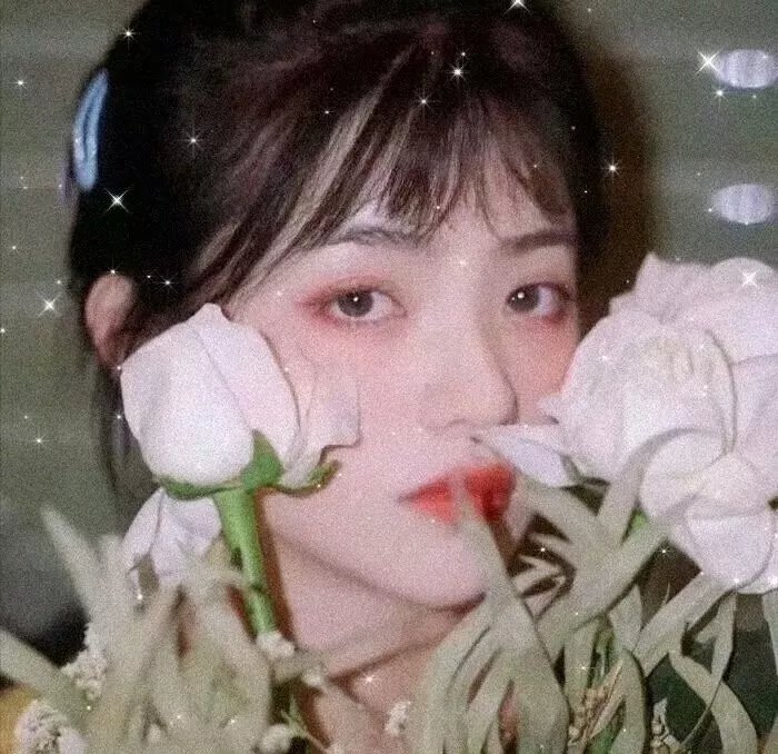 莲花仙子